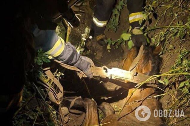 Рятувальники звільнили коня із земляної пастки
