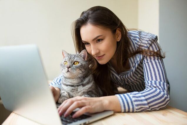 Стало известно, почему кошки любят лежать на ноутбуках: причина вам не понравится