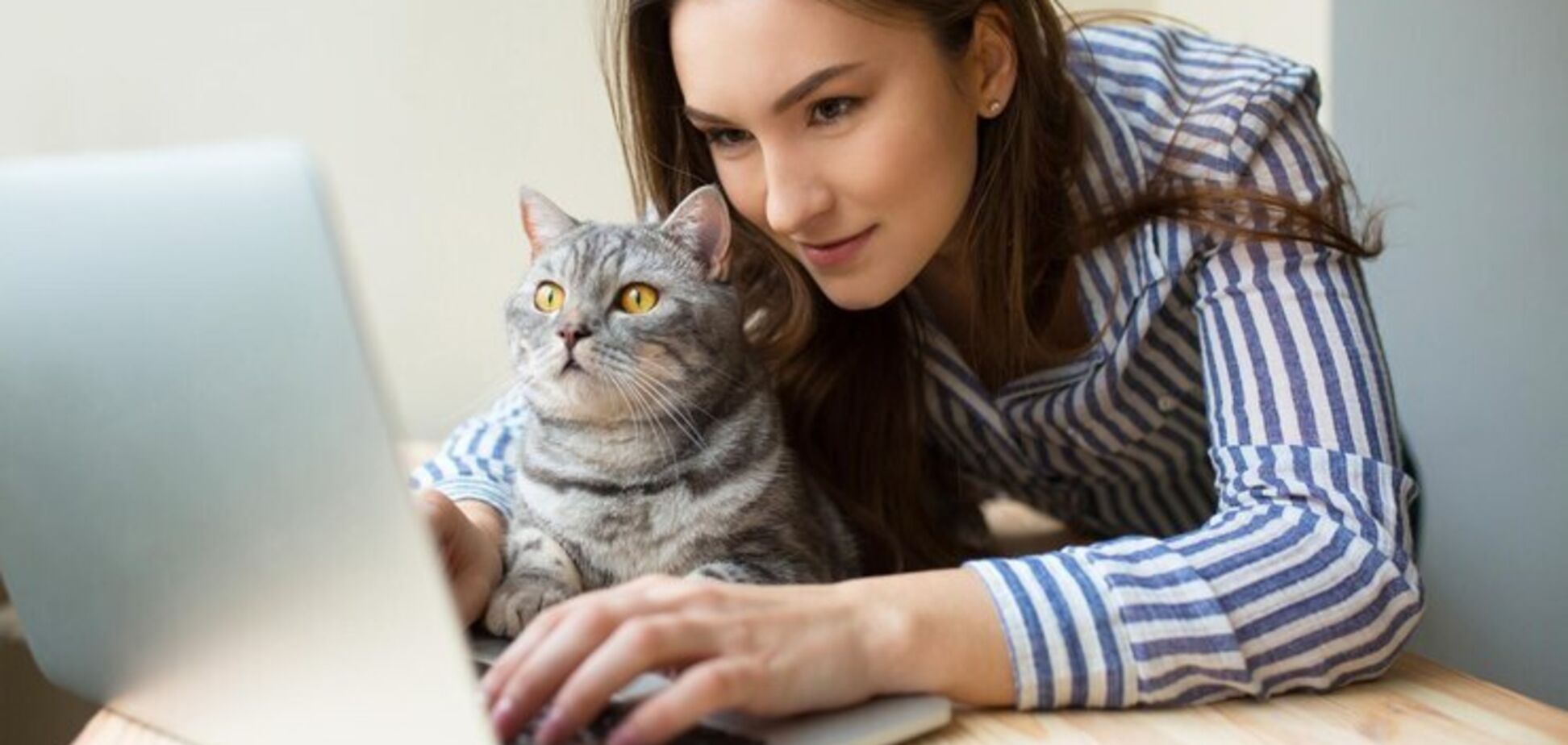 Стало відомо, чому коти люблять лежати на ноутбуках: причина вам не сподобається