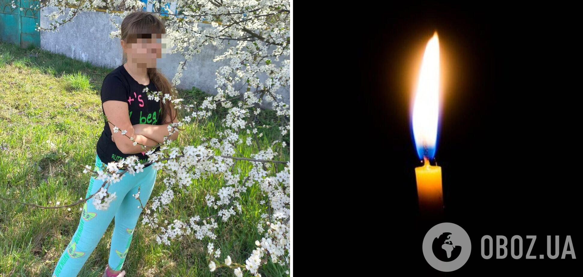 Убийство Анны Лозовой