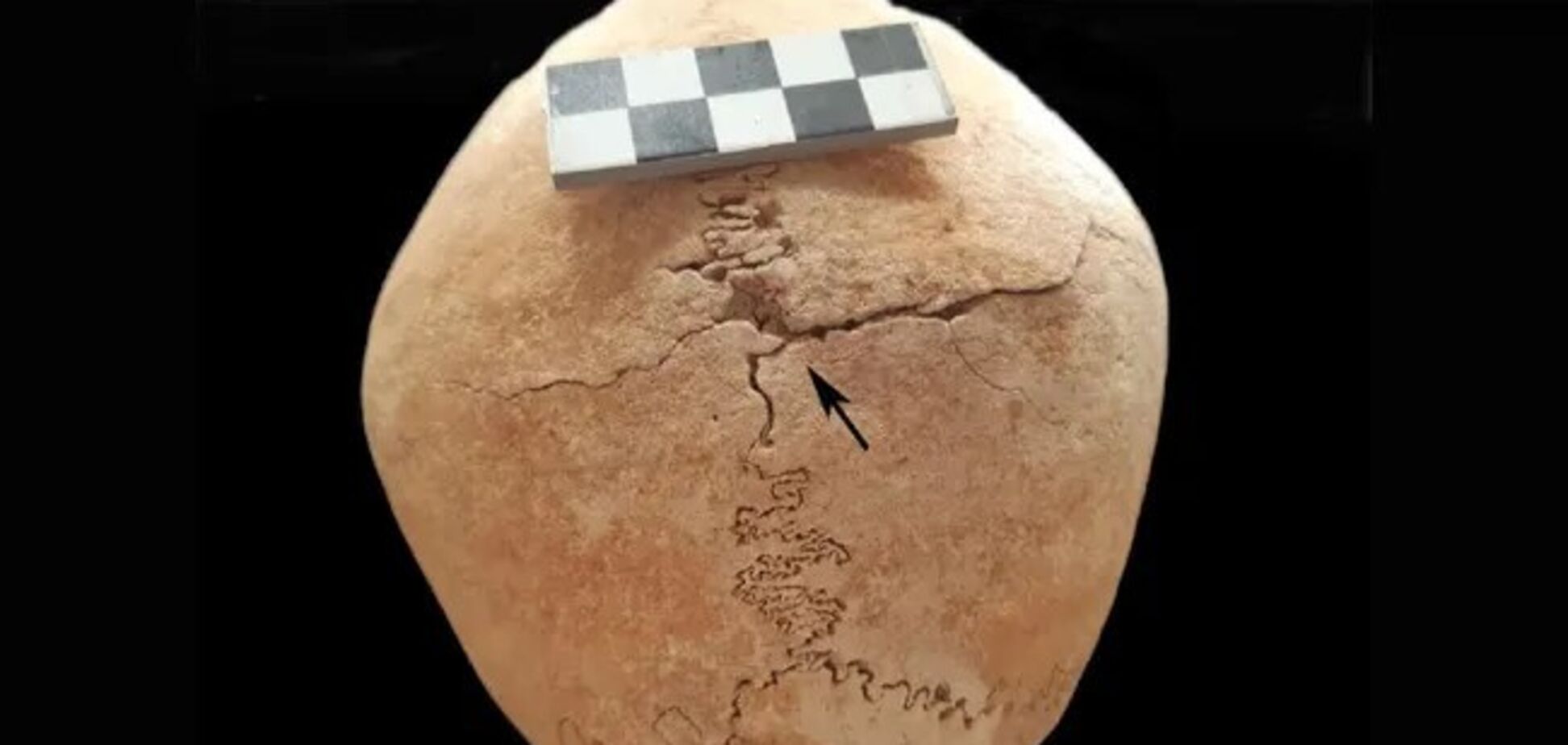 Середньовічна жінка-воїн була похована разом з 23 монахами: археологів спантеличила знахідка під час розкопок замку в Іспанії. Фото