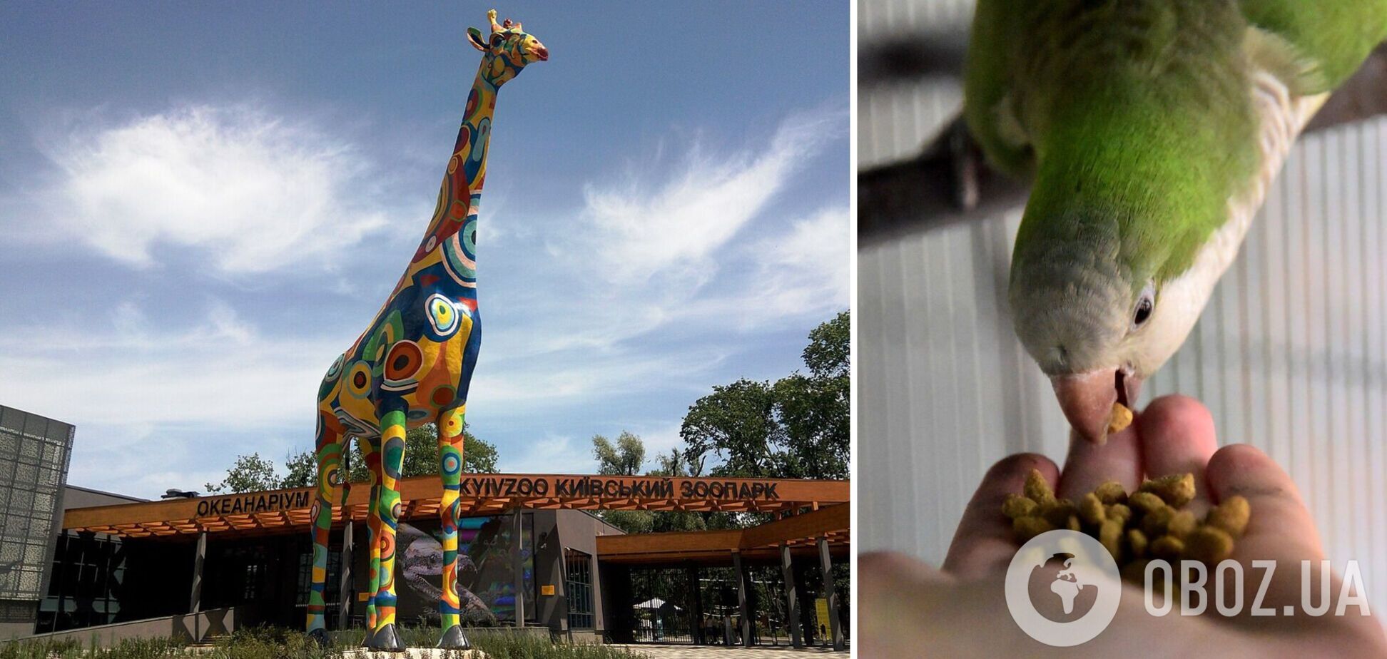 У зоопарку Києва з’явився новий екзотичний мешканець