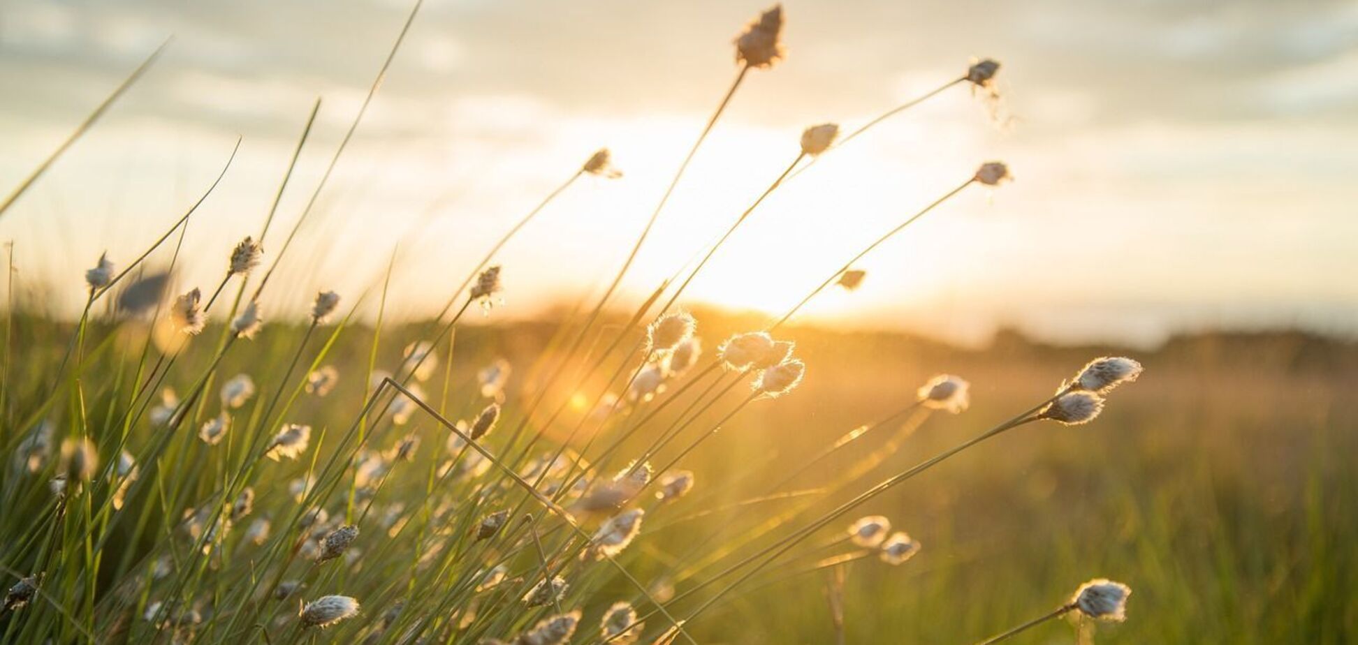 Кілька областей накриють дощі: синоптики дали детальний прогноз на вихідні в Україні. Карта