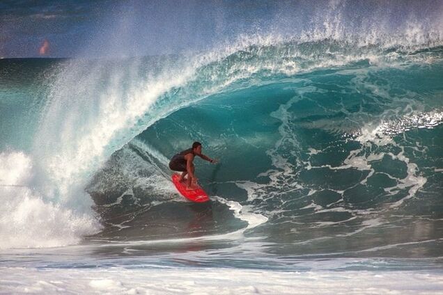 Смерть переслідувала його по п'ятах. Стало відомо подробиці страшної загибелі актора 'Піратів Карибського моря' від акули