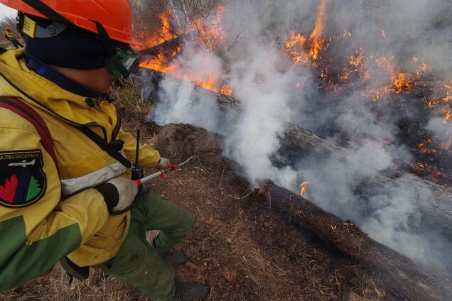 У Росії вирують лісові пожежі: в Бурятії та Забайкаллі оголосили надзвичайну ситуацію. Відео