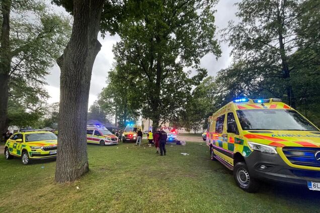 В Чехии молния ударила в дуб, под которым находились взрослые и дети