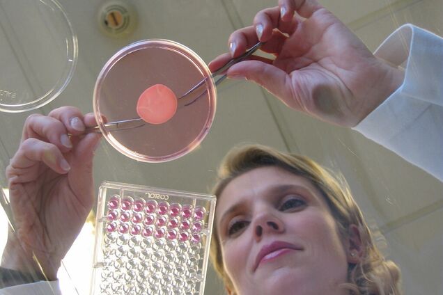 L'Oréal виготовляє косметику без шкоди для тварин