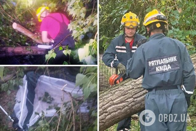 Під час грози дерево впало на намет