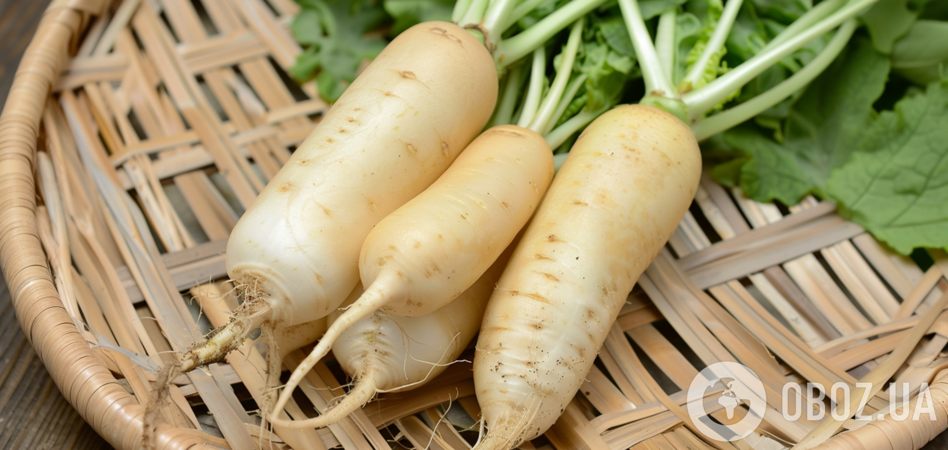 Як в Україні виростити японську редьку дайкон: секрети догляду та захисту від шкідників