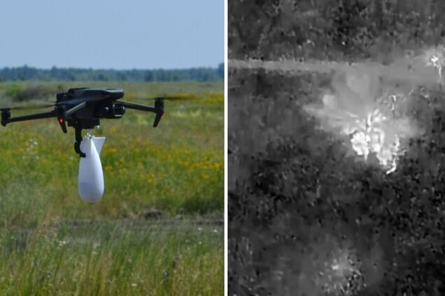 Прикордонники 'Помсти' показали блискучу роботу дронів на Сіверському напрямку: вороги знешкоджені
