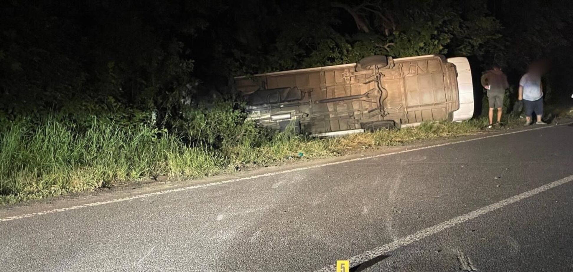 На Вінниччині перекинувся мікроавтобус з 17 дітьми, є постраждалі: з'явились подробиці. Фото