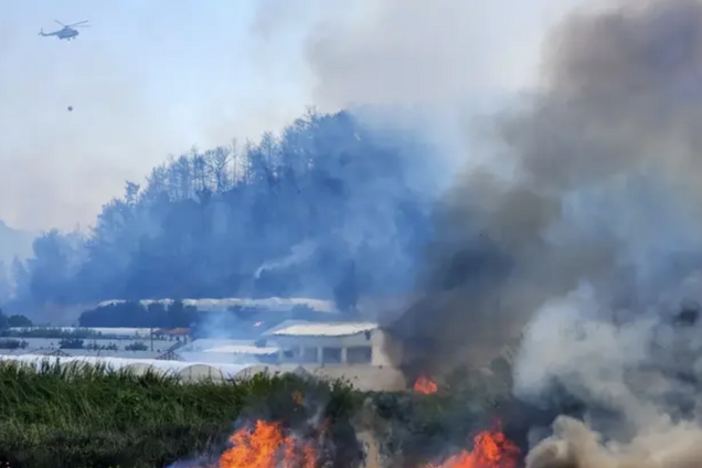В турецкой Анталии бушует масштабный лесной пожар: огонь тушат с самолетов и вертолетов. Фото