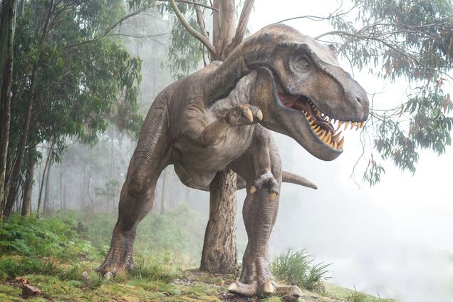 Почти Парк Юрского периода: в США дети нашли редкую окаменелость тиранозавра Рекса. Фото