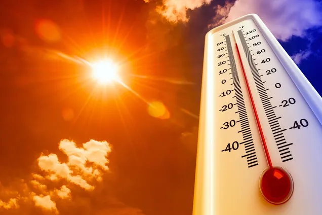 Май 2024 года стал самым жарким за всю историю наблюдений