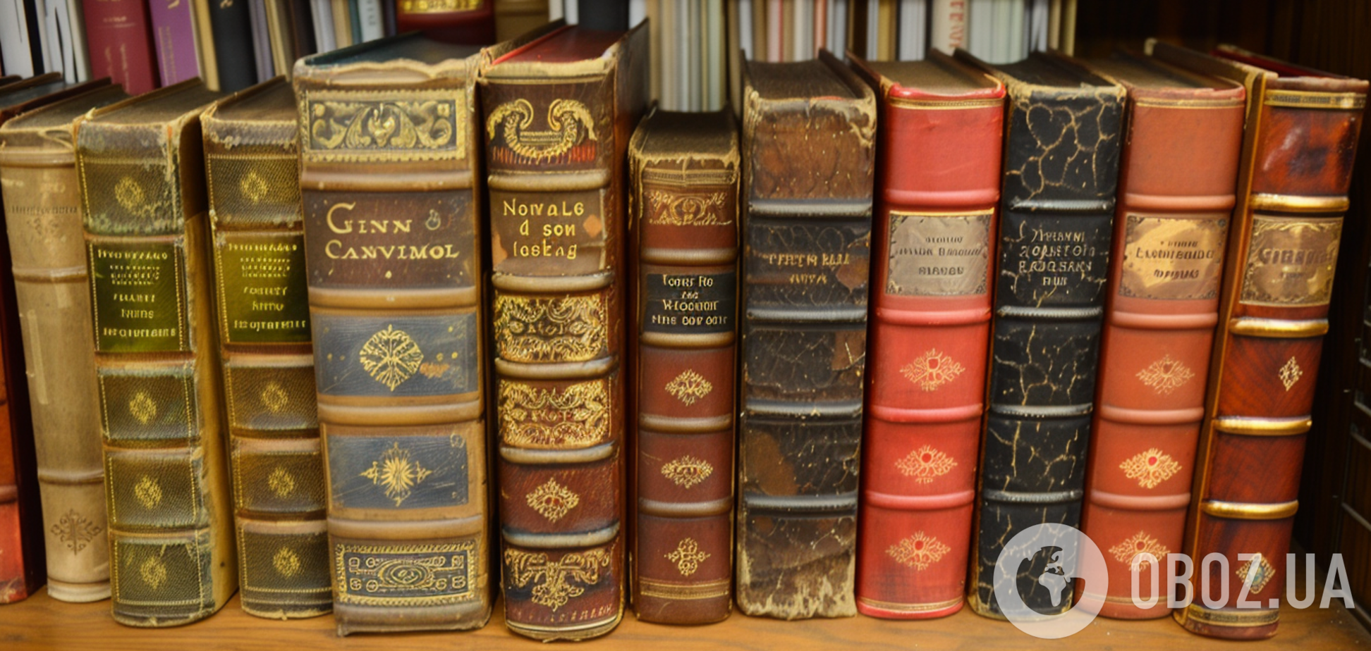 Какой праздник отмечают 29 ноября в Украине: все об этом дне