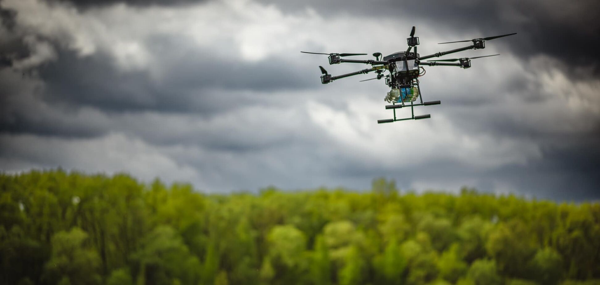 Пионы и спасение. Разговор на нуле