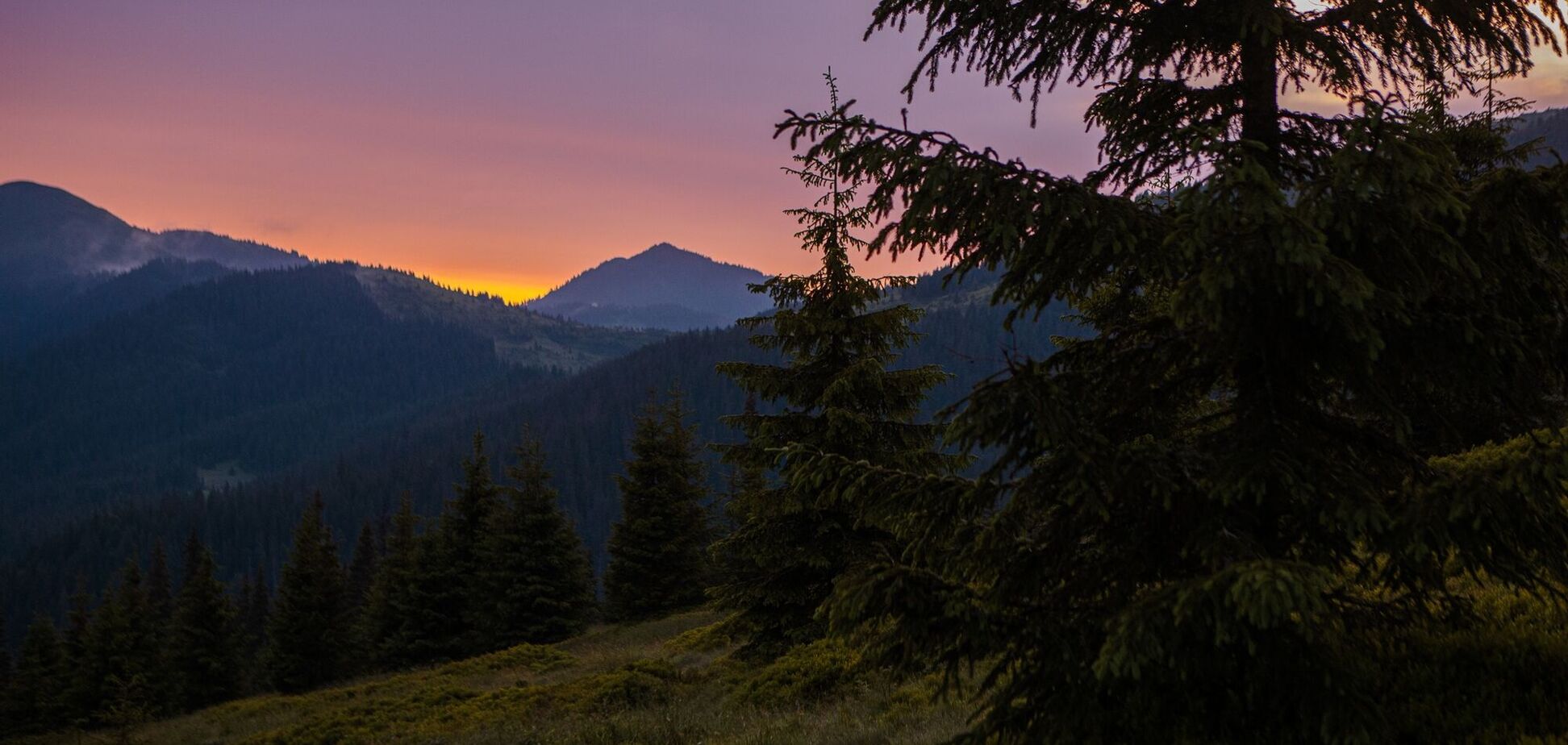 В Карпатах у границы нашли тело человека: на место вызвали полицию
