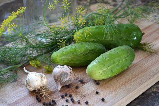Хрусткі малосольні огірки за 10 хвилин: додайте багато часнику та кропу