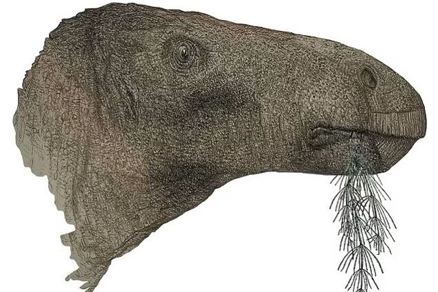 Ученые нашли новый вид динозавра размером с американского бизона. Фото