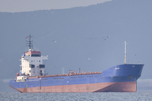В ВМС подтвердили, что задержали грузовое судно, которое заходило в оккупированные Россией порты: что известно