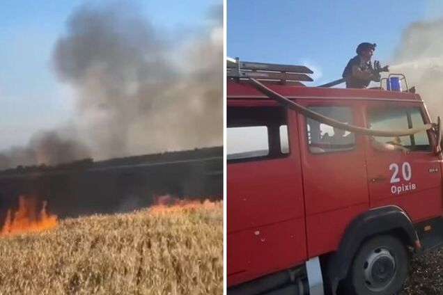 На Запоріжжі через російський обстріл згоріло майже 4 га пшениці. Відео