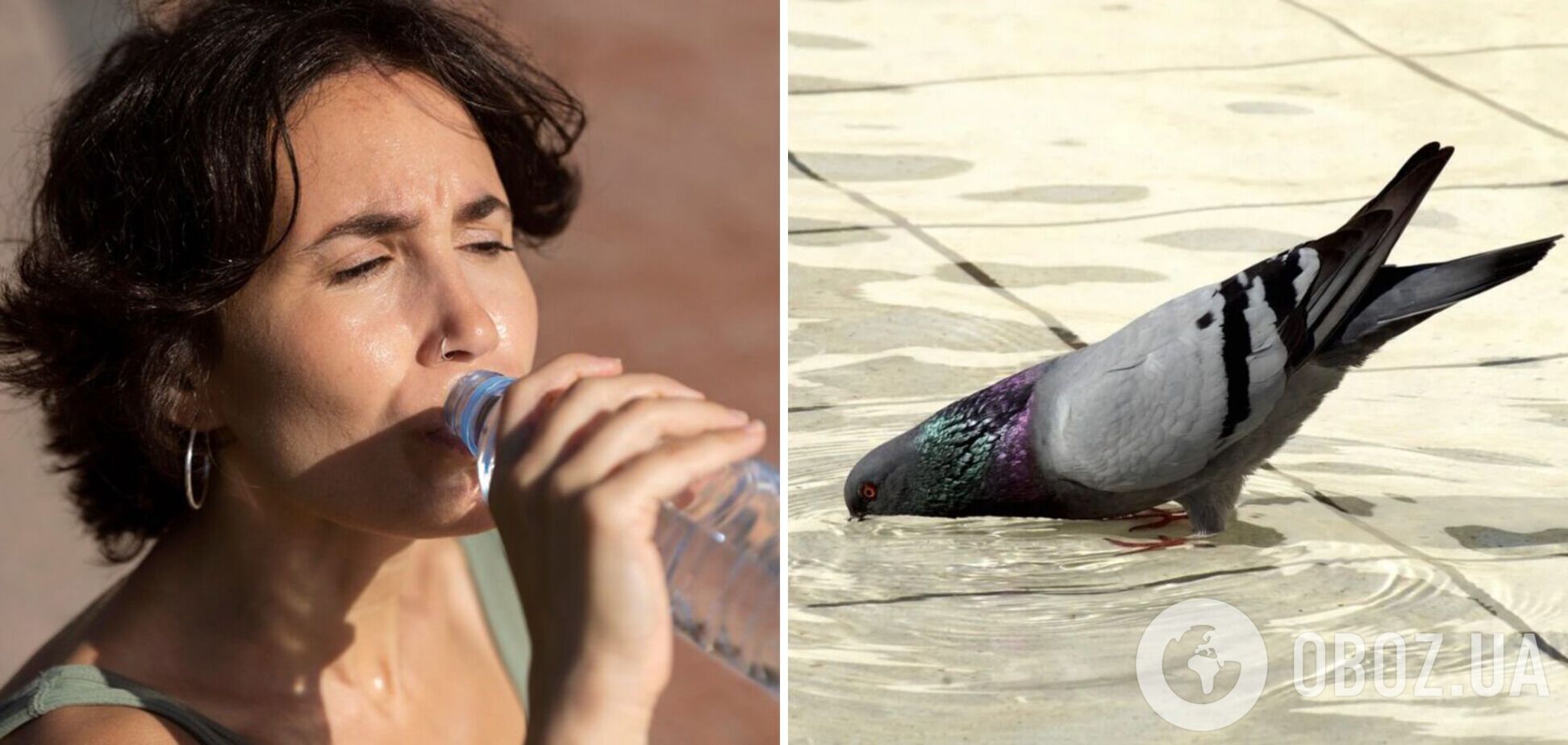 Спека поб'є всі рекорди: синоптики дали прогноз погоди на суботу, 13 липня