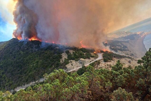 Лісова пожежа у Краснодарському краї