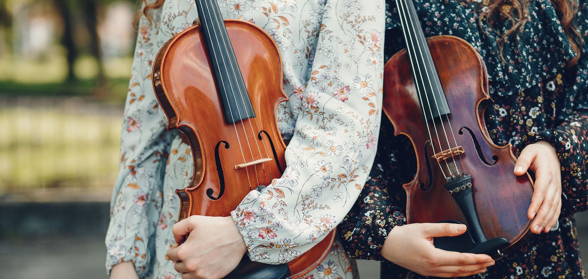 В Україні запропонували зробити обов'язковим іспит з гри на скрипці під час вступу до університету