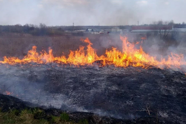 На Миколаївщині внаслідок ворожої атаки виникла пожежа