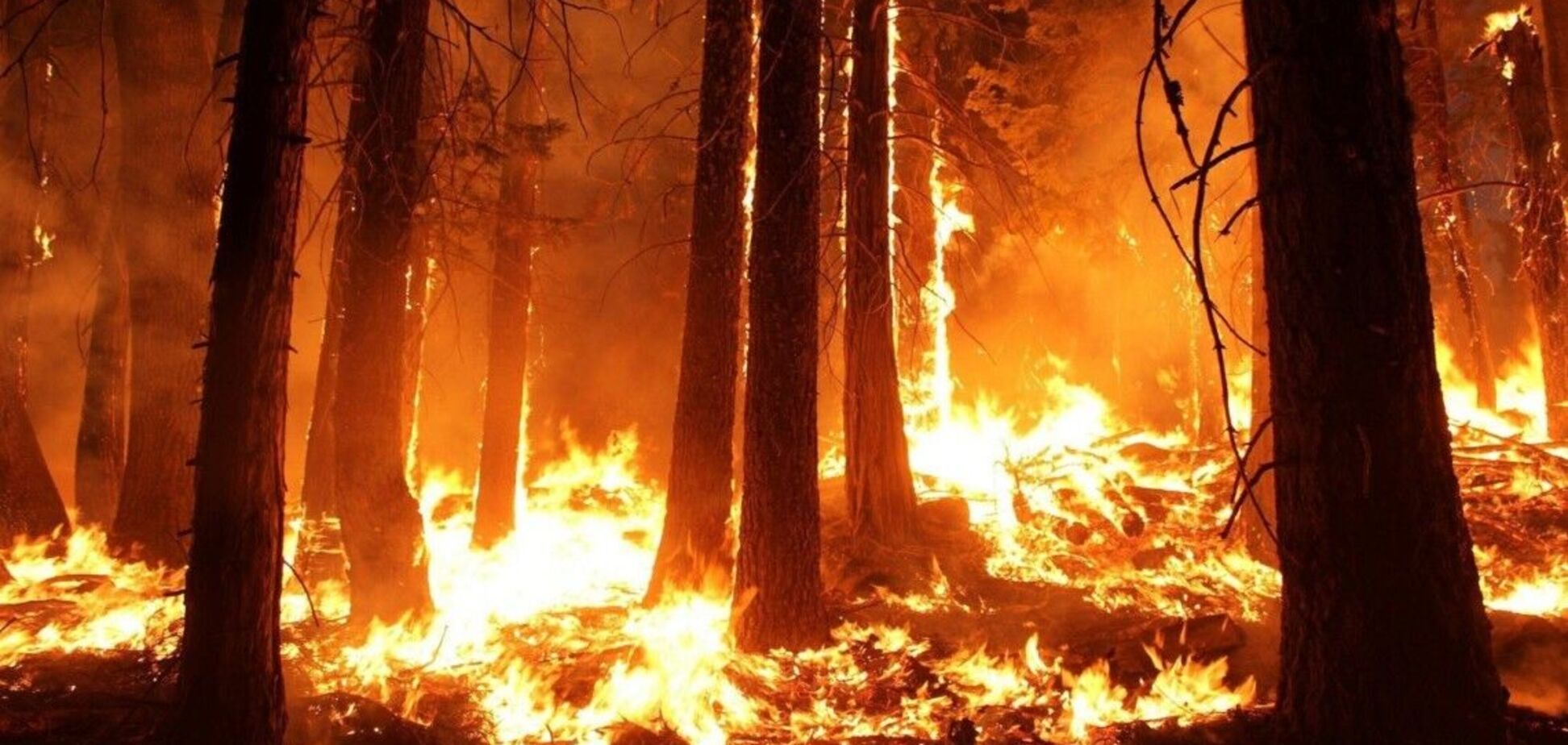 У Криму в районі озера Донузлав, де вночі чули вибухи, зафіксували пожежі. Супутникові фото