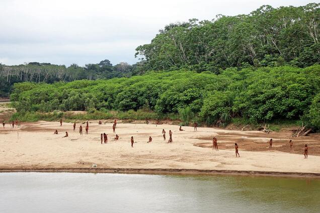 Одно из самых изолированных в мире племен вышло из тропических лесов Амазонии: что произошло. Уникальные фото