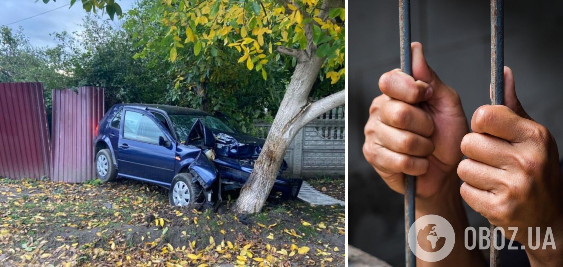 Винному призначено покарання у вигляді 12 років позбавлення волі