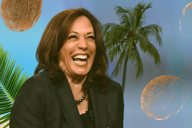 Що за мем Камали Гарріс 'кокосова пальма' і чому він завірусився в мережі. Фото
