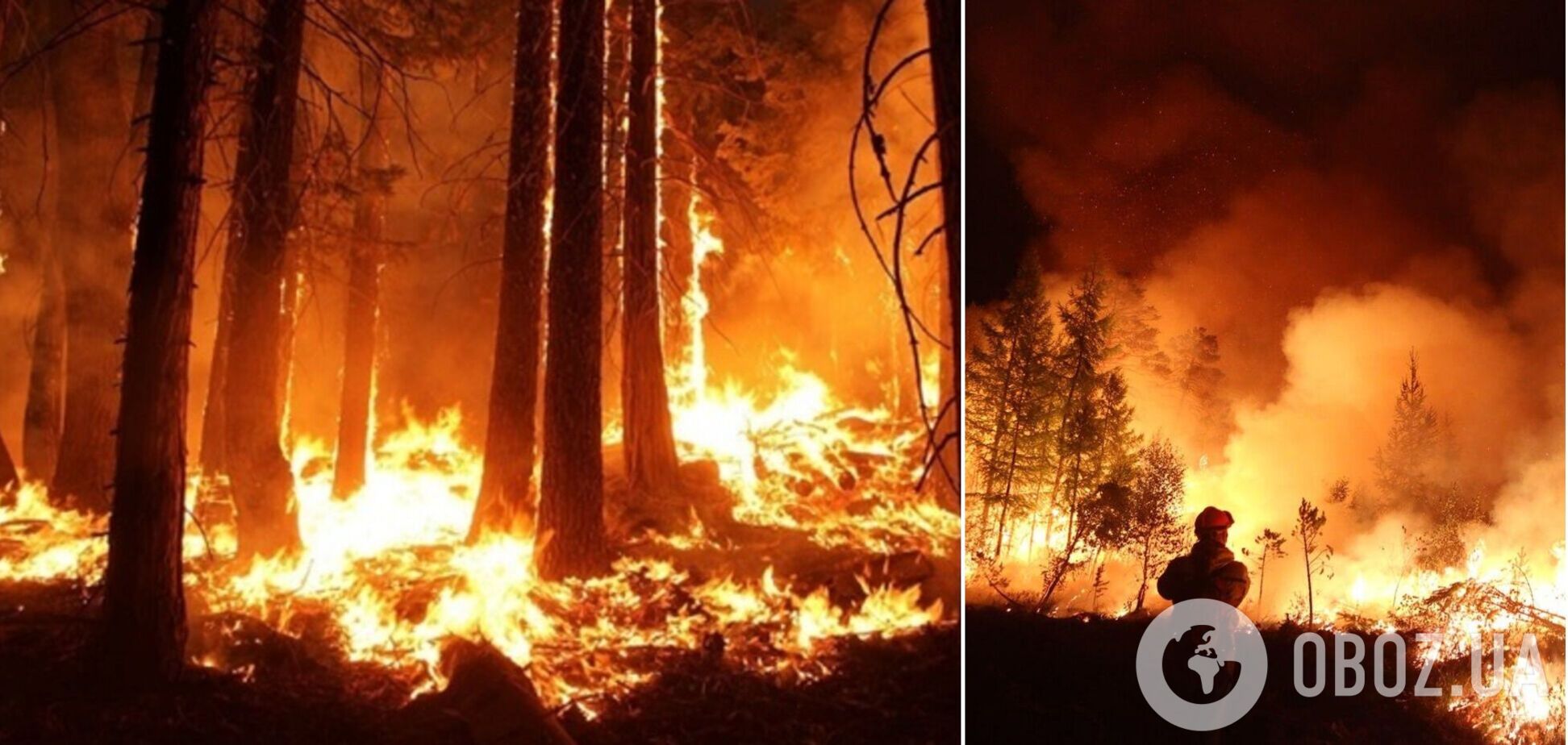 Всех пожарных отправили на войну? В РФ зафиксировали рекордную за последние годы площадь лесных пожаров