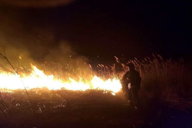 Під Миколаєвом продовжується масштабна пожежа, є загроза вибухів. Фото
