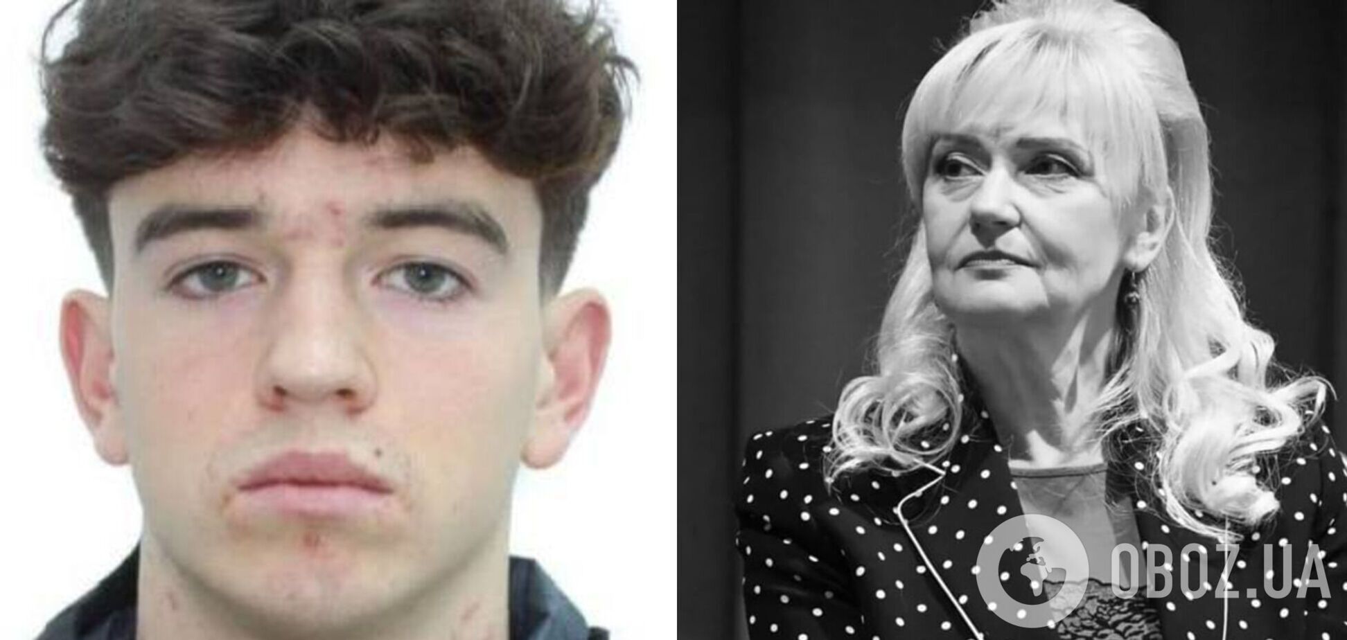 Расследование убийства Фарион