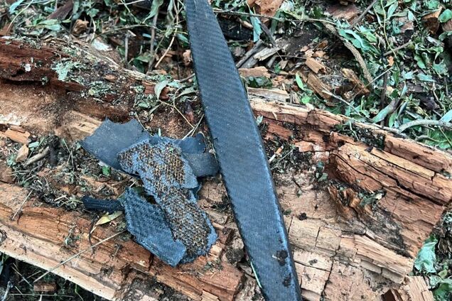 В Румынии нашли обломки 'Шахедов' после атак РФ на Украину. Фото и видео