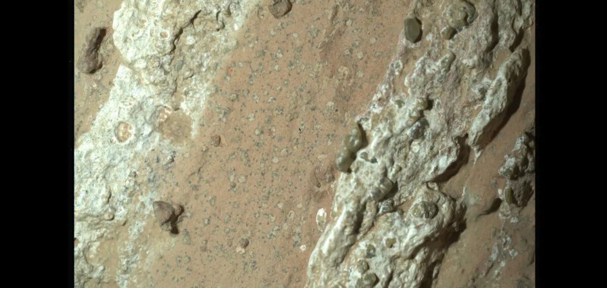 На Марсе обнаружили возможные признаки древней жизни. Фото