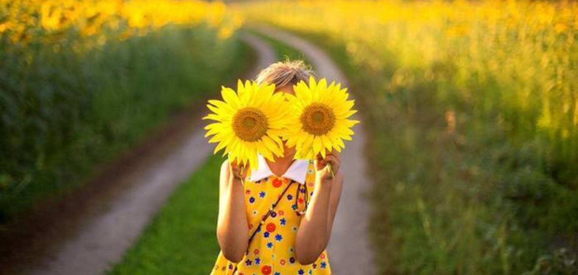 Украину ждет жара до +34, но часть областей накроют дожди: синоптики дали прогноз на выходные. Карта