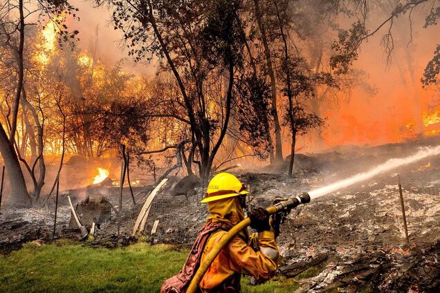 В США и Канаде бушуют лесные пожары: тысячи людей вынуждены эвакуироваться. Фото