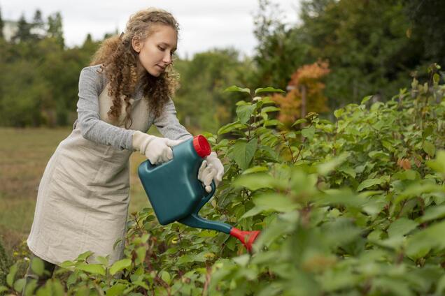 Кто может получить земельный участок в Украине