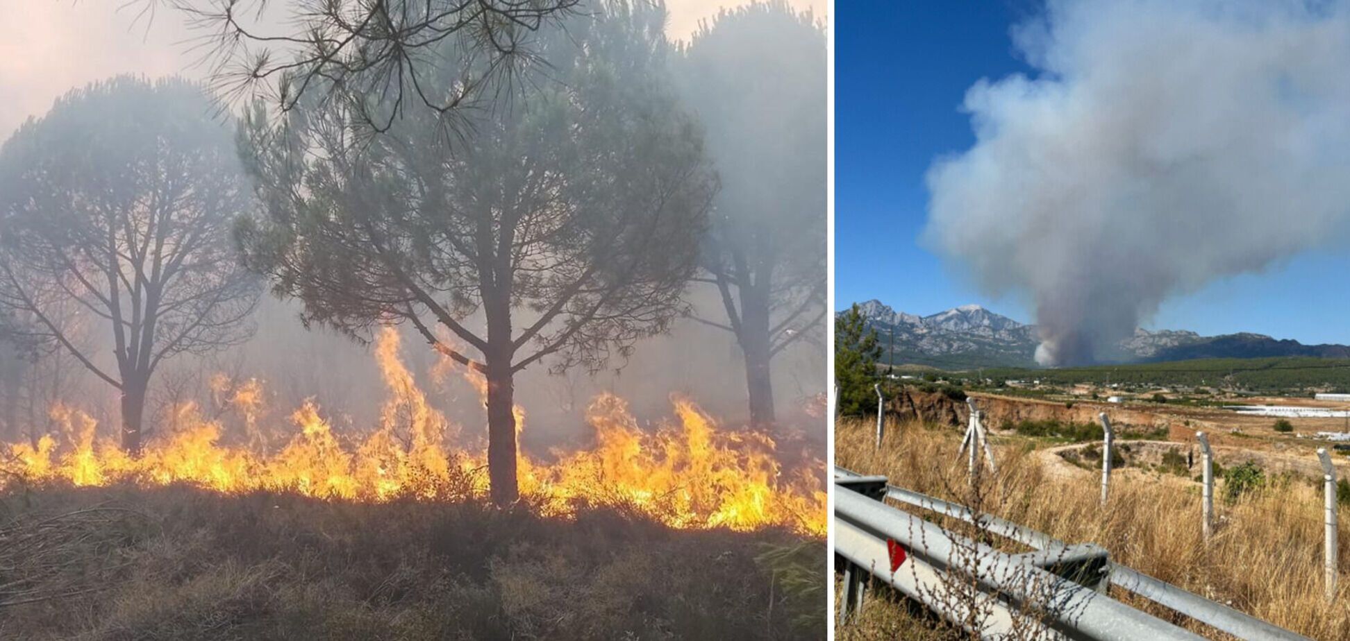 У Туреччині вирують лісові пожежі: полум'я охопило п'ять провінцій, людей евакуюють. Фото