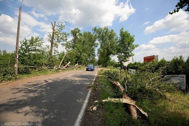 Тысячи домов остались без света: в Польше пронесся ураган, есть жертвы. Фото и видео