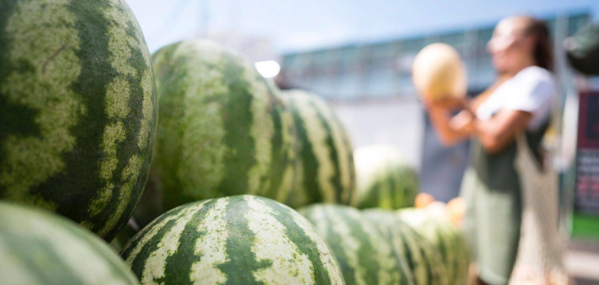 Эксперты назвали цены на первые украинские арбузы