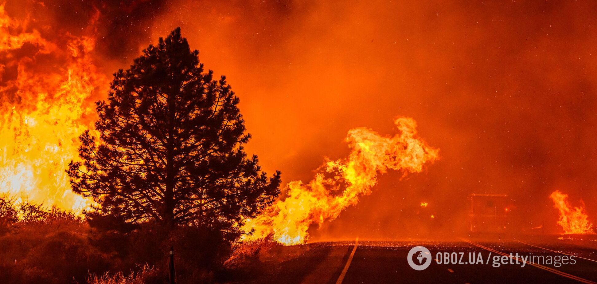Спутники зафиксировали самый большой лесной пожар в Калифорнии с начала 2024 года: что говорят ученые. Видео