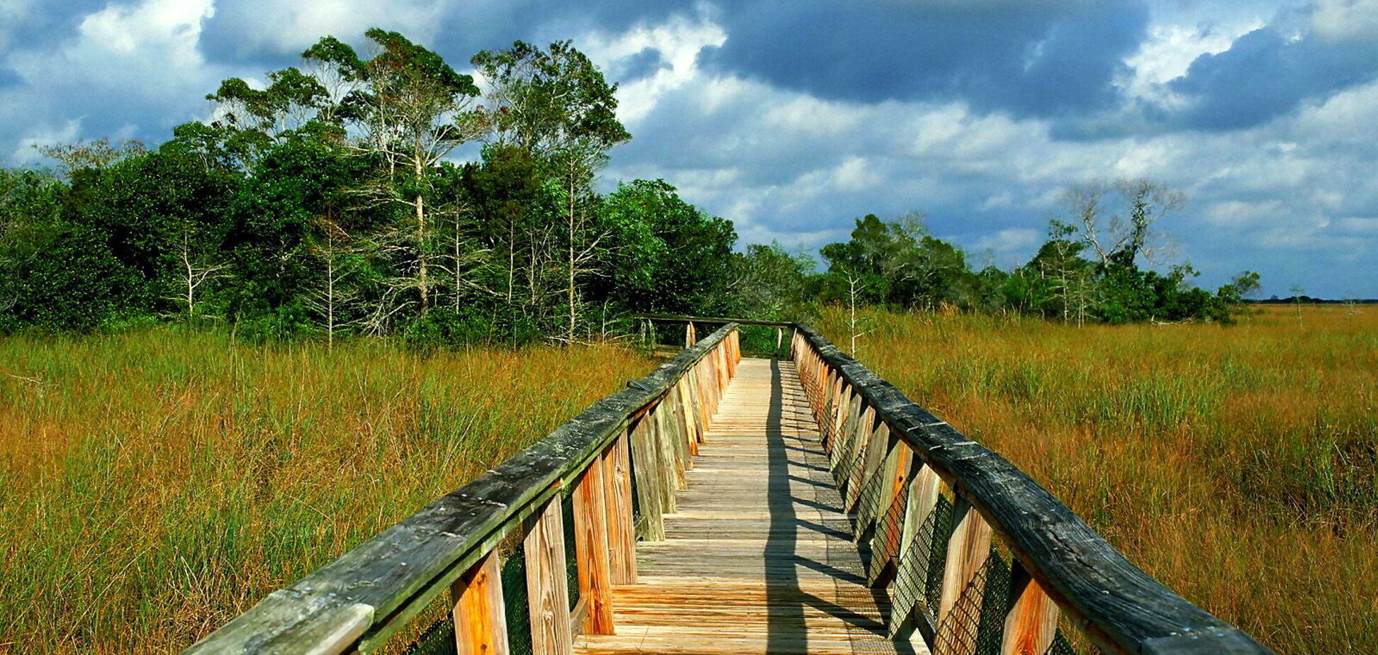 В Украину идет новая волна жары до +40. Синоптик озвучила прогноз погоды на август