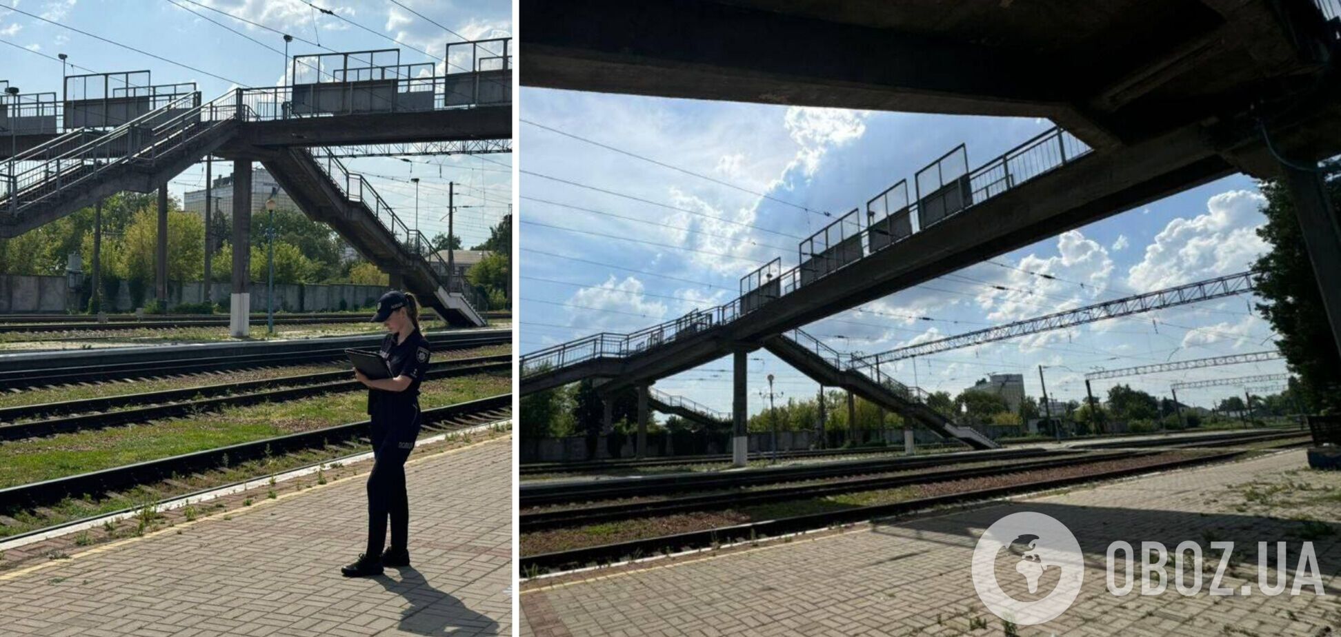 Поліція розслідує факт жорстокого поводження із твариною