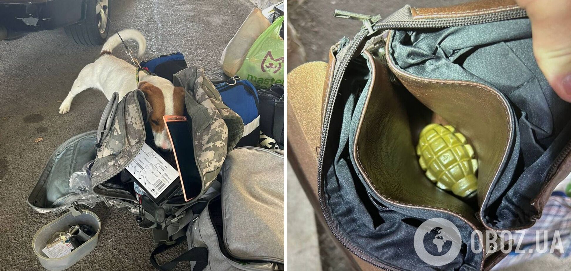 Украинка пыталась ввезти в Венгрию гранату, которую 'заказали' знакомые: что ей теперь грозит. Фото