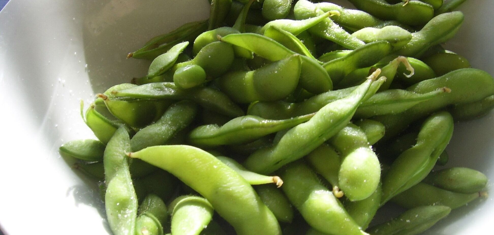 15 растительных продуктов, являющихся незаменимым источником белка