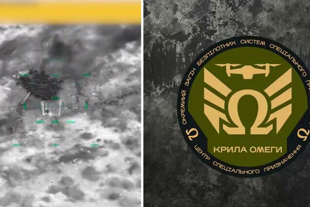 Крылья Омеги